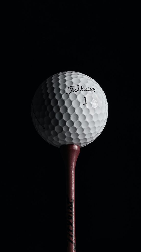 titleist pro v1 golf ball